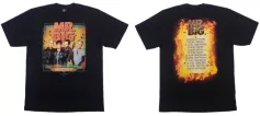 MR.BIG TDM 1442 HOT ROCK T- SHIRTS