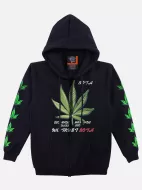 H-172-Gw-67-68-F (Hoody with ZIP, Rock Eagle)