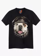 4335 (Original T-shirts,Rock Eagle)