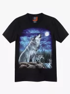 4221 (Original T-shirts,Rock Eagle)