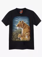 4252 (Original T-shirts,Rock Eagle)