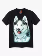 4338 (Original T-shirts,Rock Eagle)