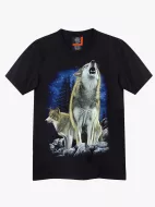 4360 (Original T-shirts,Rock Eagle)