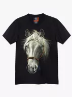 4378 (Original T-shirts,Rock Eagle)