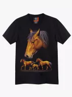 4425 (Original T-shirts,Rock Eagle)