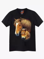 4426 (Original T-shirts,Rock Eagle)