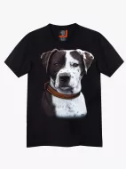 4432 (Original T-shirts,Rock Eagle)