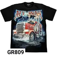 ROCK CHANG GR- 809 t-shirt