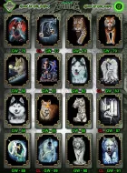 Rock Eagle GW 76 - 91  (T-shirts)