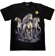 ROCK CHANG GR-666 t-shirt