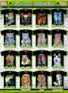 Rock Eagle KIDS t-shirts GK 4310 - 214