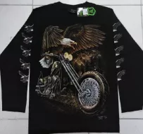Rock Chang longsleeve LS GR №737 лонгслив,орёл,мотоцикл,байкер