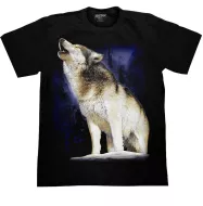 ROCK CHANG GR-721 t-shirt