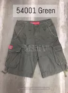 Шорты MOLECULE 54001 Green