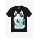 4338 (Original T-shirts,Rock Eagle)