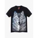 4356 (Original T-shirts,Rock Eagle)