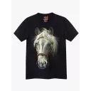 4378 (Original T-shirts,Rock Eagle)