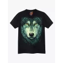 4382 (Original T-shirts,Rock Eagle)