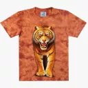 TD 215 (Animals, T-Shirts,Rock Eagle)