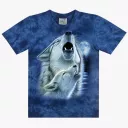 TD 223 (Animals, T-Shirts,Rock Eagle)