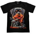 ROCK CHANG GR-558 t-shirt