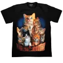 ROCK CHANG GR-657 t-shirt