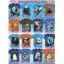 Rock Eagle KIDS t-shirts K 223 - 239