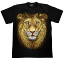 ROCK CHANG GR-691 t-shirt