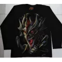 Rock Chang longsleeve LS HD №101 лонгслив,дракон,арт