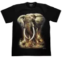 ROCK CHANG GR-770 t-shirt