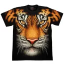 ROCK CHANG FULL HD-01 (T-Shirt)