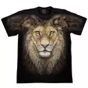 ROCK CHANG FULL HD-43 (T-Shirt)