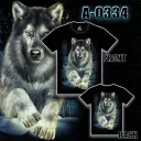 CABALLO A - 0334 (T-shirts,ROCK&TEES, Caballo)