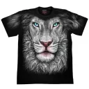 ROCK CHANG FULL HD-56 (T-Shirt)