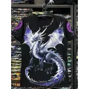 DRAGON COLD (DDD - T-shirts)